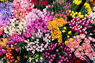 《地心护核者》专属服务器上线 “沉没之海”更新介绍